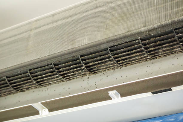 Best General Air Duct Cleaning  in Grosse Pointe Park, MI