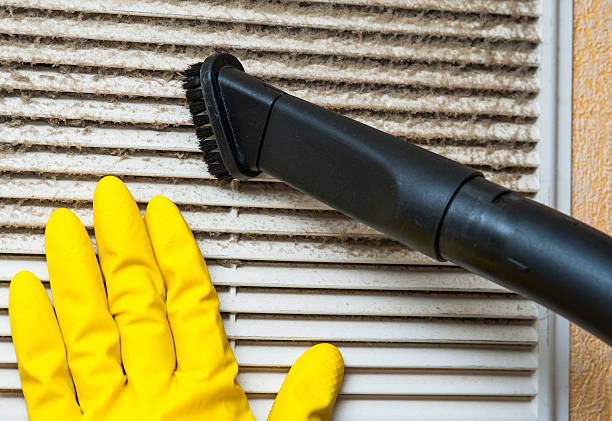 Air Duct Mold Removal in Grosse Pointe Park, MI